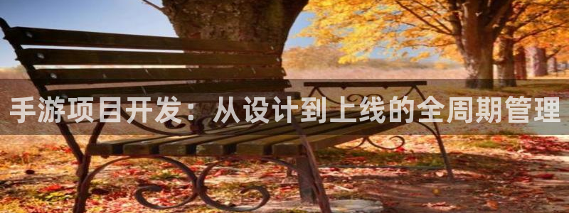 巅峰国际：手游项目开发：从设计到上线的全周期管理