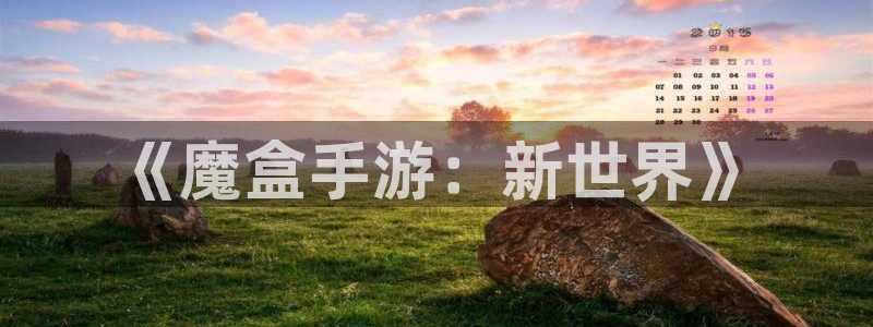 巅峰国际登录：《魔盒手游：新世界》
