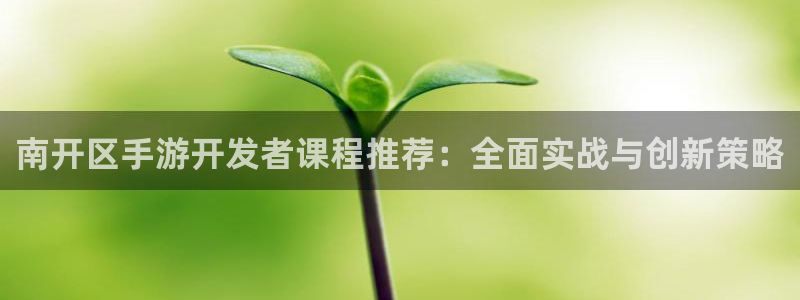 巅峰国际注册：南开区手游开发者课程推荐：全面实战与创新策略