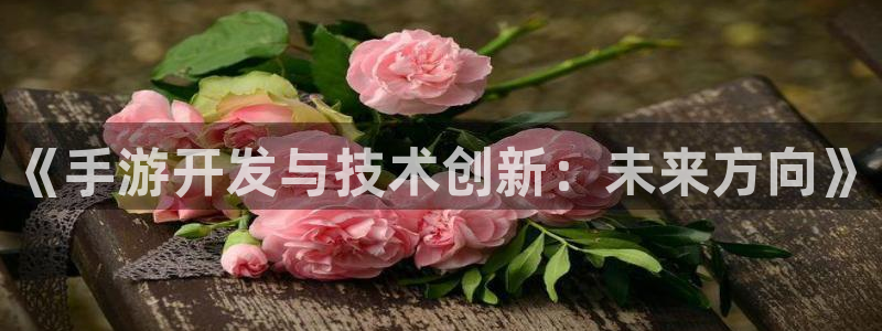 巅峰国际：《手游开发与技术创新：未来方向》