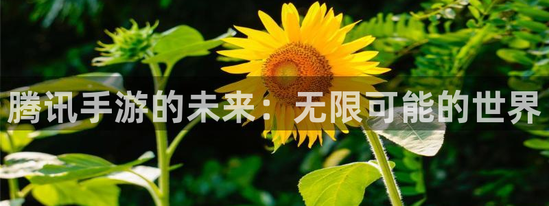 巅峰国际：腾讯手游的未来：无限可能的世界