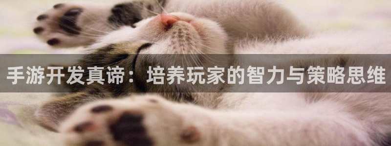 巅峰国际：手游开发真谛：培养玩家的智力与策略思维