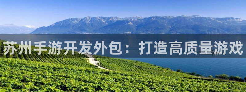 巅峰国际：苏州手游开发外包：打造高质量游戏