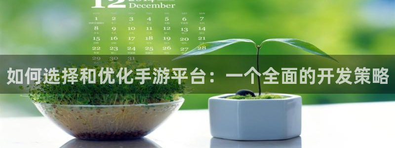 巅峰国际首页：如何选择和优化手游平台：一个全面的开发策略