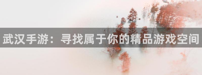 巅峰国际注册：武汉手游：寻找属于你的精品游戏空间