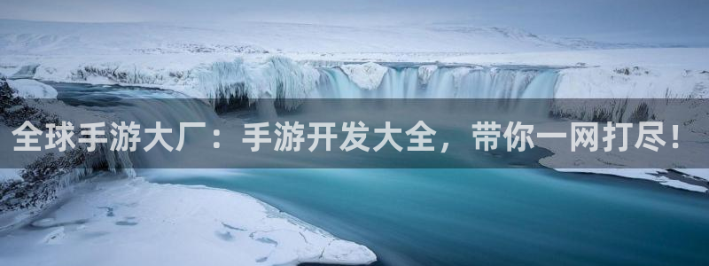 巅峰国际平台：全球手游大厂：手游开发大全，带你一网打尽！