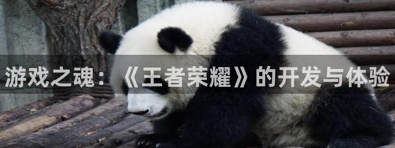 巅峰国际官网：游戏之魂：《王者荣耀》的开发与体验