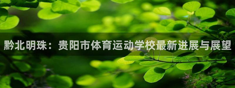 三亿体育