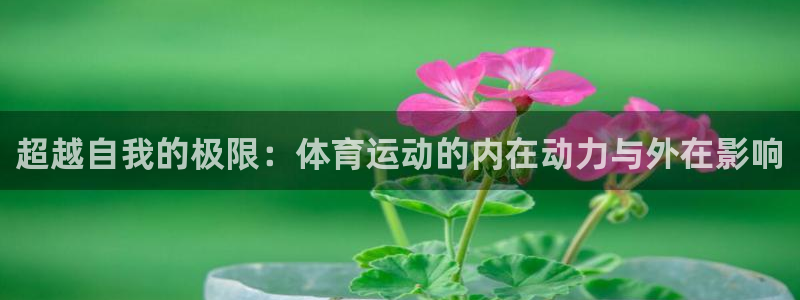 三亿体育网