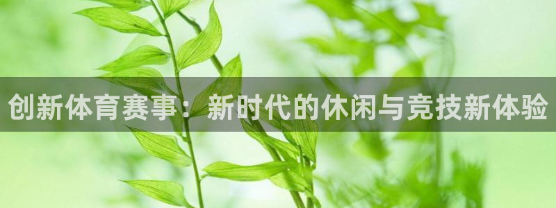 三亿体育：创新体育赛事：新时代的休闲与竞技新体验