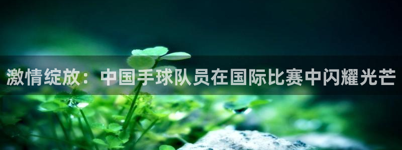 三亿体育网