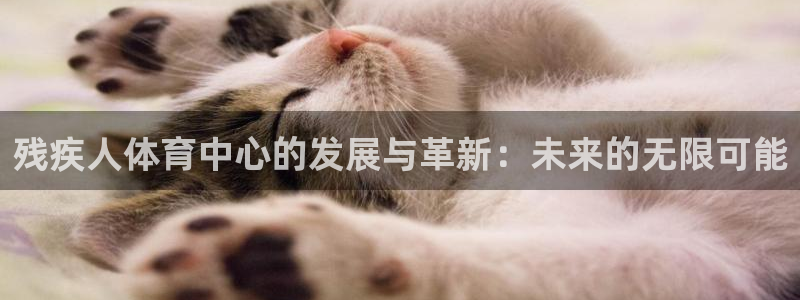 三亿体育网：残疾人体育中心的发展与革新：未来的无限可能