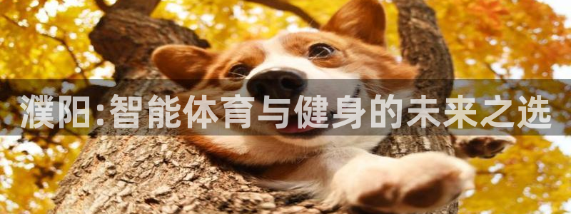 三亿体育网页版：濮阳:智能体育与健身的未来之选