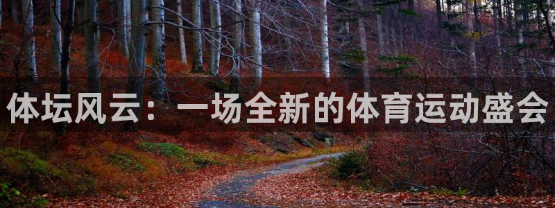 三亿体育：体坛风云：一场全新的体育运动盛会