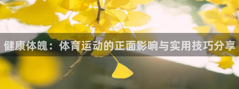 三亿体育