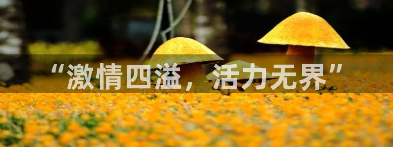 三亿体育网页版：“激情四溢，活力无界”