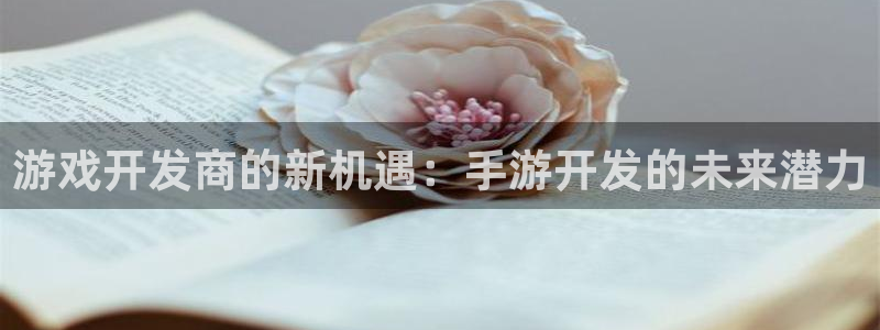 巅峰国际登陆：游戏开发商的新机遇：手游开发的未来潜力